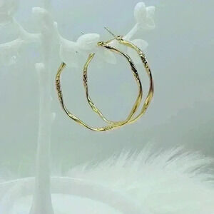 Women's Twisted Circle Design Hoop Earrings in Gold